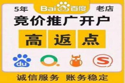 竞价广告投放策略，代运营公司的成功实践